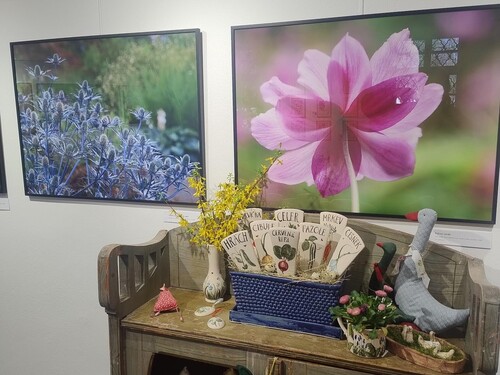 Doteky jara v květinové a bylinkové zahradě