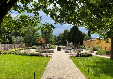 Borůvková zahrada s letní čítárnou