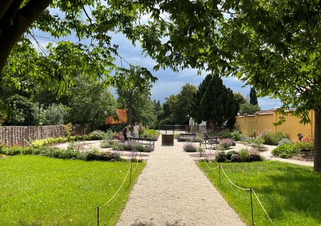 Borůvková zahrada s letní čítárnou