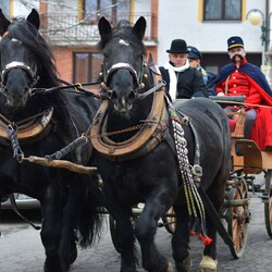 Kliknutím zvětšíte 01