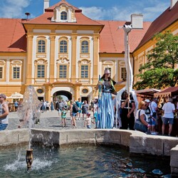 Kliknutím zvětšíte Borůvkobraní