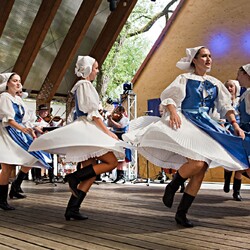 Kliknutím zvětšíte Borůvkobraní