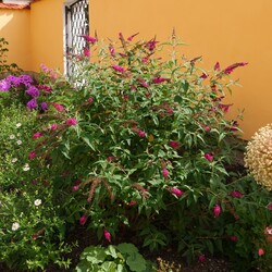 225243250_3065289783739016_1995056012205470601_n