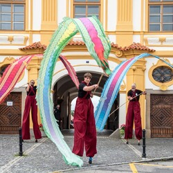 Kliknutím zvětšíte Borůvkobraní