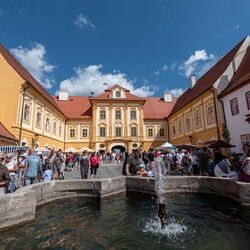 Kliknutím zvětšíte 25