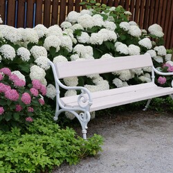 348613528_3615867025347953_92603050614111929_n