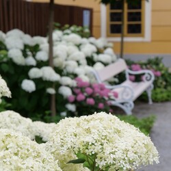 Kliknutím zvětšíte 349698970_3615868598681129_6720296742621057872_n