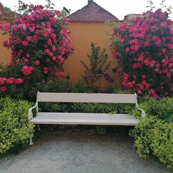 355266948_3596144130653576_8653242499563243345_n