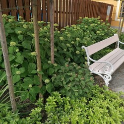 Kliknutím zvětšíte 355379305_3596144423986880_8403304232497537462_n