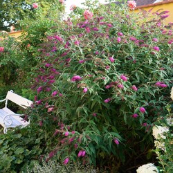 Kliknutím zvětšíte 365644211_3634521513482504_4979576356499713757_n