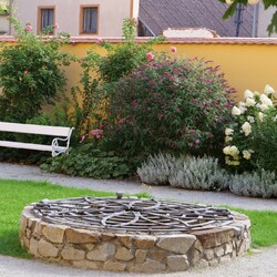 368013623_3634521566815832_4274882180883406096_n