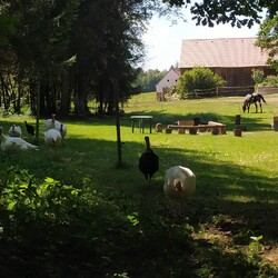 Kliknutím zvětšíte 4