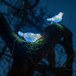 advent-v-borovanech-7