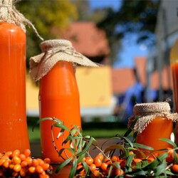 autor-jana-skolkova-05