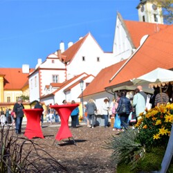 Kliknutím zvětšíte autor-jana-skolkova-06