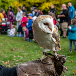 Kliknutím zvětšíte dsc_0149-kopie