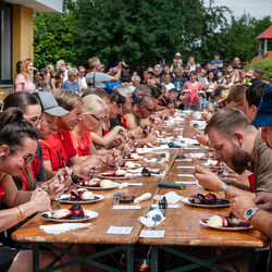 Kliknutím zvětšíte Borůvkobraní