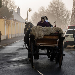 Kliknutím zvětšíte dsc_3805-kopie