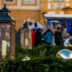 Kliknutím zvětšíte dsc_3874-kopie