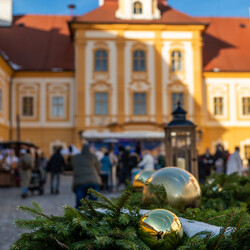 Kliknutím zvětšíte dsc_3876-kopie