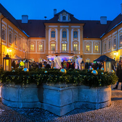 Kliknutím zvětšíte dsc_4084-kopie