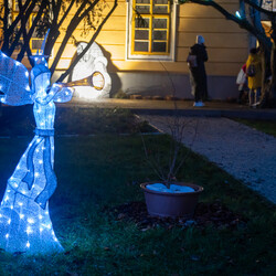 Kliknutím zvětšíte dsc_4123-kopie