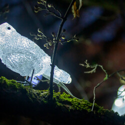 Kliknutím zvětšíte dsc_4132-kopie