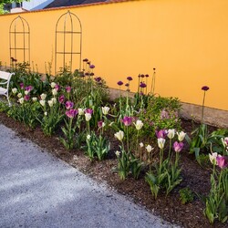 Kliknutím zvětšíte dsc_6675-kopie