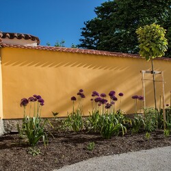 Kliknutím zvětšíte dsc_6684-kopie