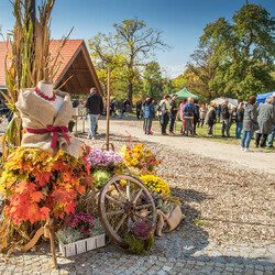 Kliknutím zvětšíte dsc_7182