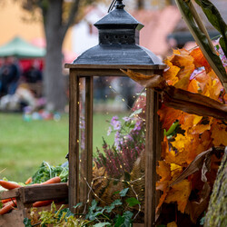 Kliknutím zvětšíte dsc_9739-kopie