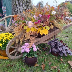 img_20241005_140343913_hdr