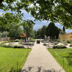 Kliknutím zvětšíte img_2606