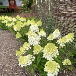 Kliknutím zvětšíte img_2627