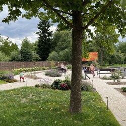 Kliknutím zvětšíte img_2648