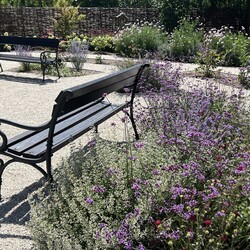 Kliknutím zvětšíte img_3486