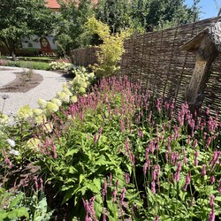 Kliknutím zvětšíte img_3492