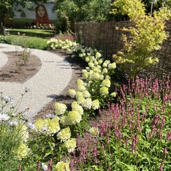 Kliknutím zvětšíte img_3493