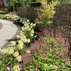 Kliknutím zvětšíte img_3494