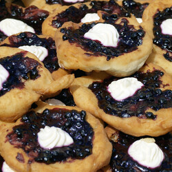 Kliknutím zvětšíte Borůvkobraní