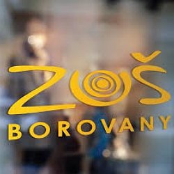 Koncert žáků ZUŠ Borovany