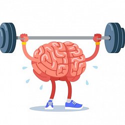 TRÉNOVÁNÍ PAMĚTI