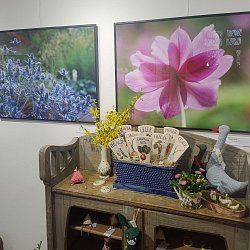 Doteky jara v květinové a bylinkové zahradě