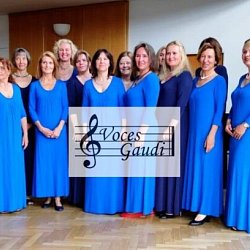 Voces Gaudi