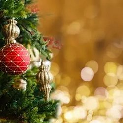 ROZSVÍCENÍ VÁNOČNÍHO STROMU