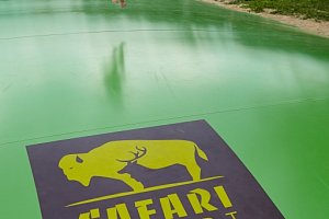 Residence Safari Resort