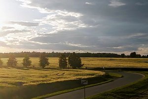 Ubytování Borovany