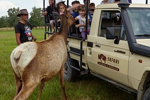 Residence Safari Resort