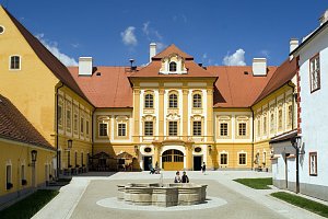 Klášter Borovany