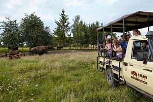 Residence Safari Resort